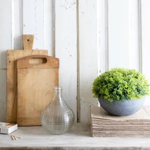 Glass Bud Vase - 2 Styles