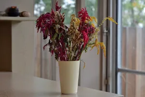 Hyejeong Kim Cream Vase 1