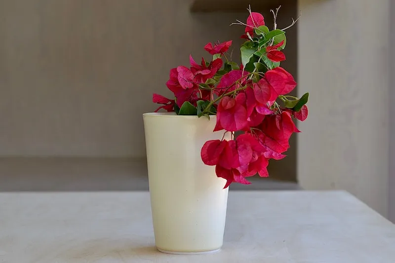Hyejeong Kim Cream Vase 1