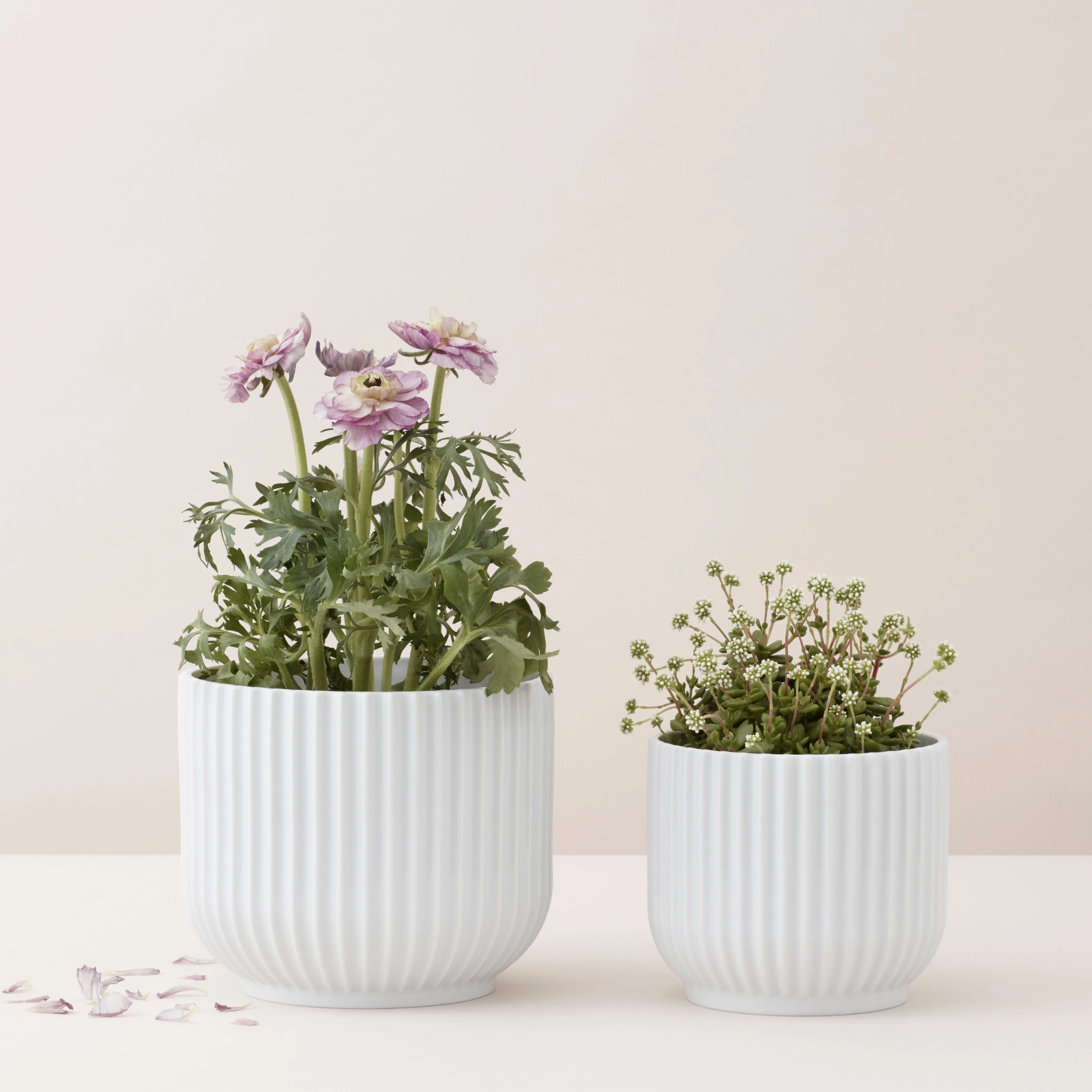 Lyngby Porcelain Flowerpot