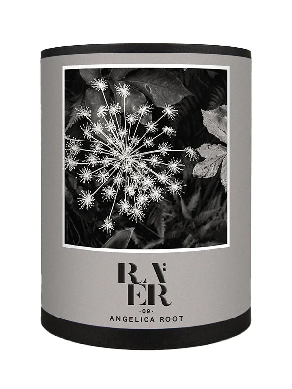 Raer 09: Angelica Root - 30ml